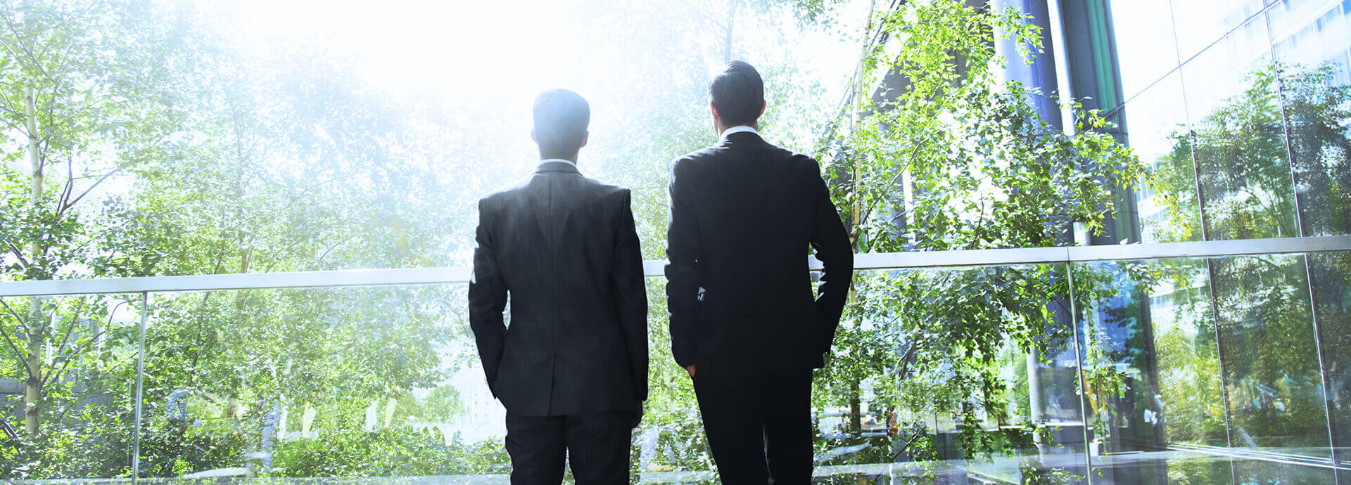Zwei Geschäftsleute im Anzug blicken ins Grüne – Verantwortung und Nachhaltigkeit bei IPConcept.